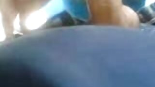 შეკრული შავგვრემანი  ...